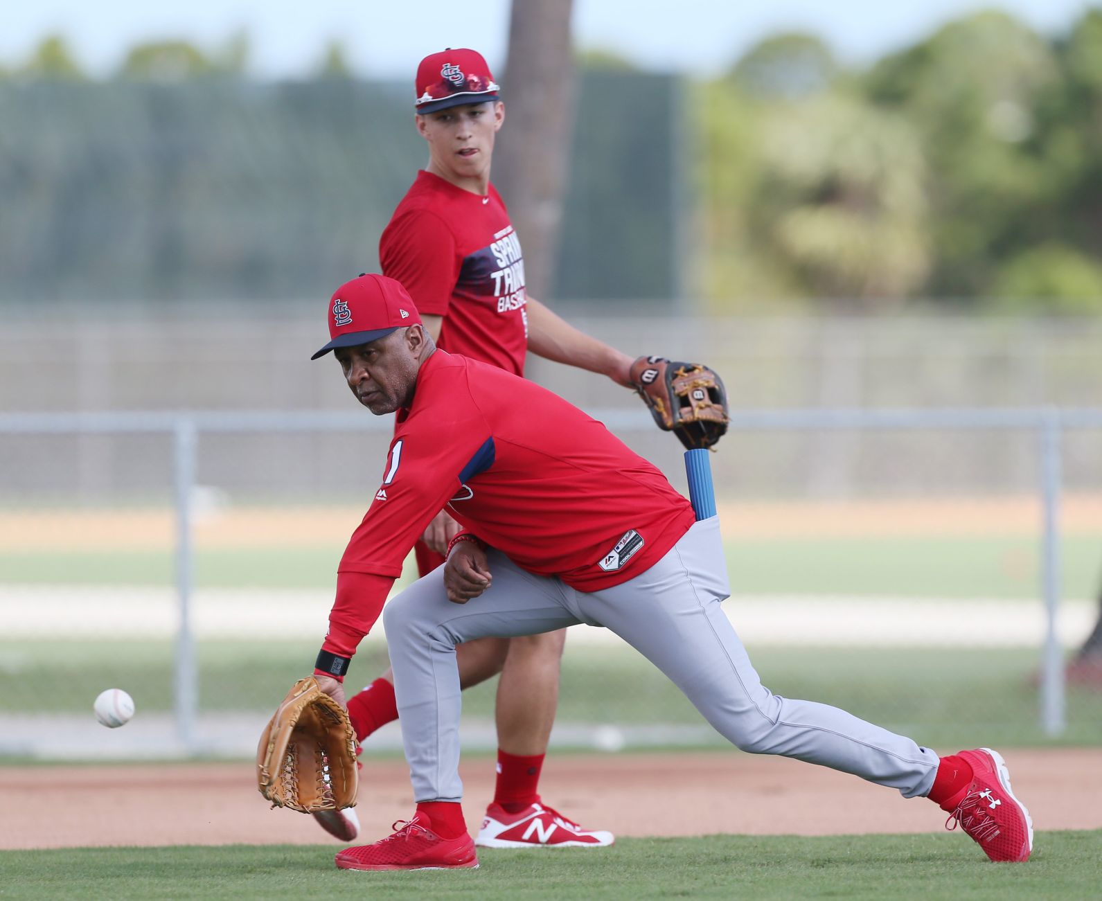 Cardinals spring training